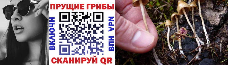 продажа наркотиков Дюртюли Псилоцибиновые грибы ЛСД
